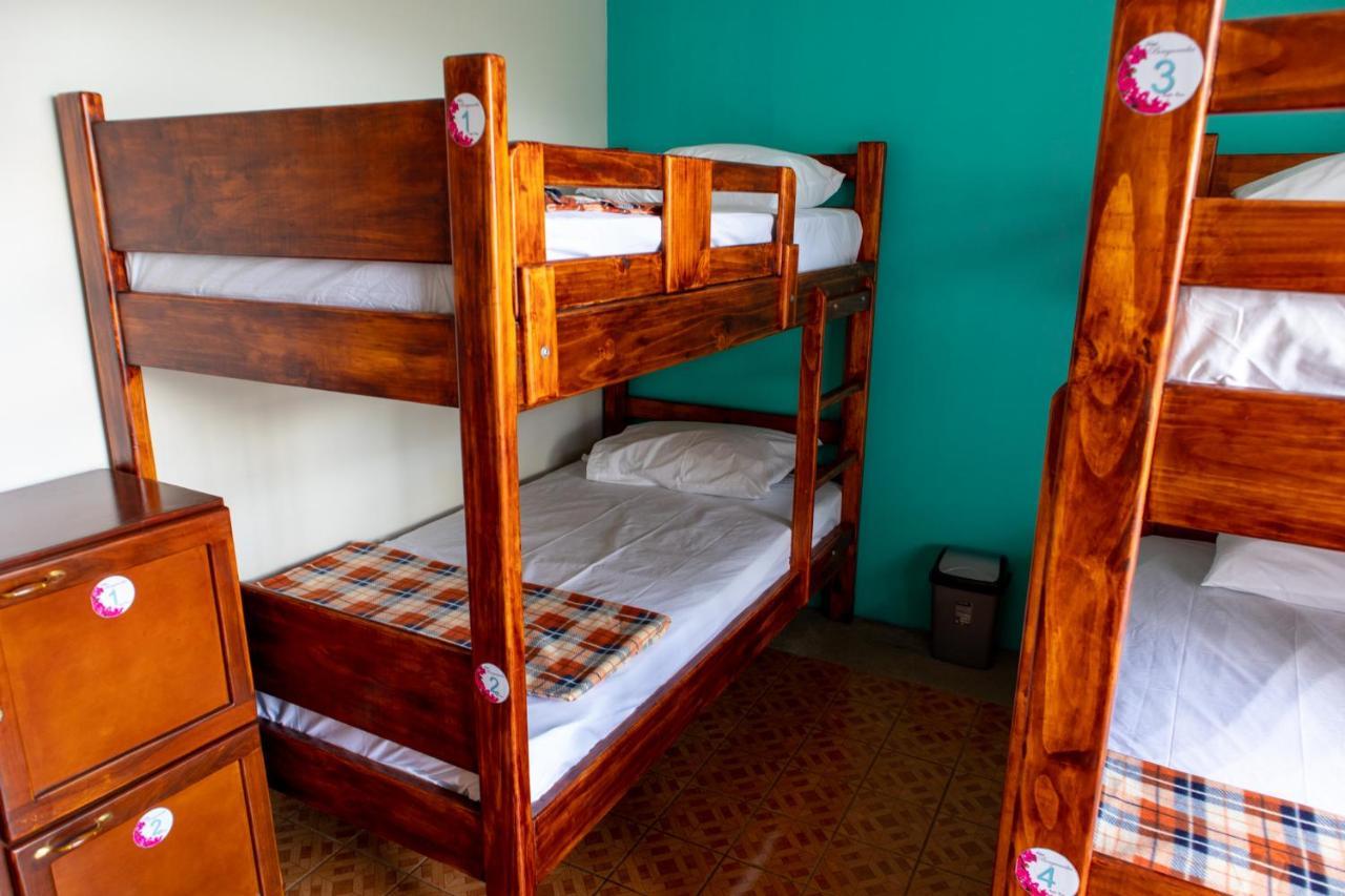 Hostel Bouganvilia Bed And Breakfast Сан-Рамон Екстер'єр фото